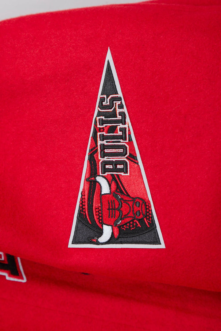 NBA CHICAGO BULLS CREST EMBLEM WOOL VARSITY JACKET - Rare Leather