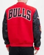 chicago bulls varsity logo jacket Rare-Leather