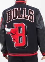 Chicago Bulls Varsity Jacket rare-leather